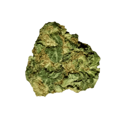 Remexian 27/1 SWV ShockWave